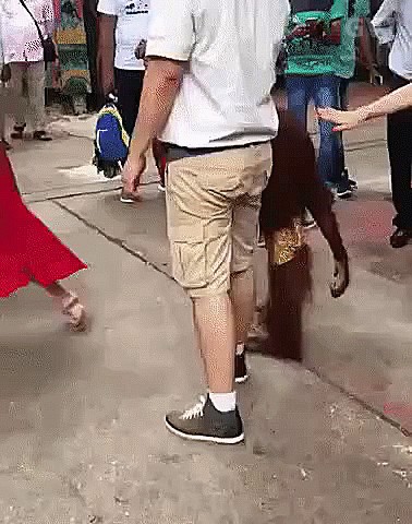 Вы будете смеяться, но...