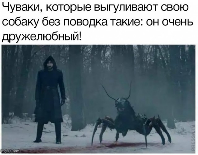 Немного картинок для настроения 02.11.20
