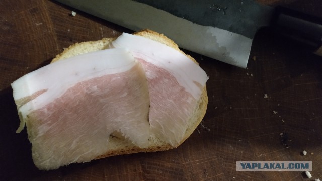 Почему нужно есть сало. Полезные свойства любимого народного продукта