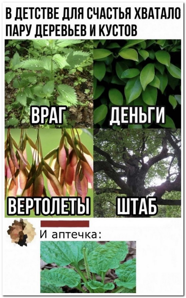 Забавные комментарии из социальных сетей (14.12.20)