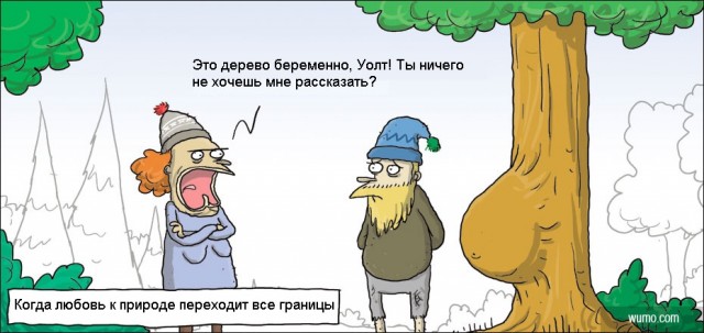 Примат залез на новогоднюю ёлку в Новочеркасске