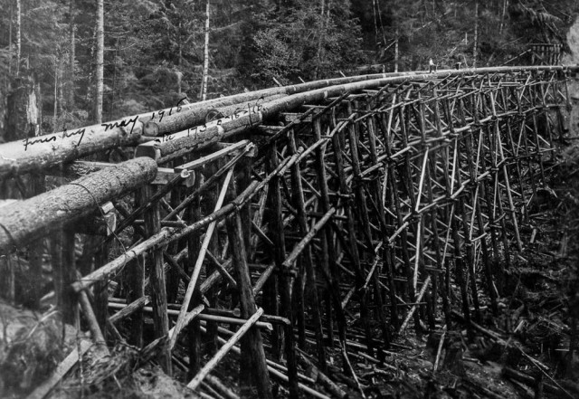 Лесорубы, вырубившие гигантские деревья Британской Колумбии, 1900-1930 гг