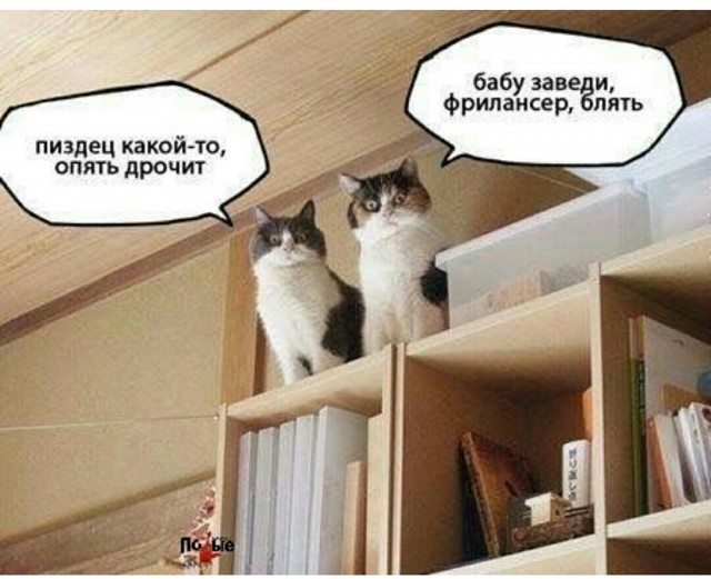 Картинки в субботу 16.01.21