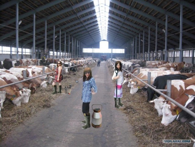 Попросили отфотошопить