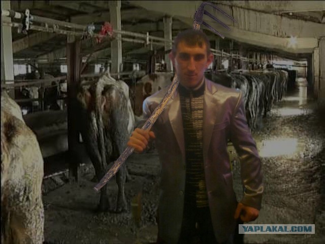 Чудики из социальных сетей 16.01.21