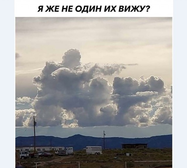 Картинки и мемы для настроения 003