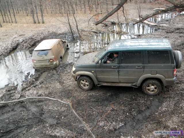 На Шершни в глиноговны