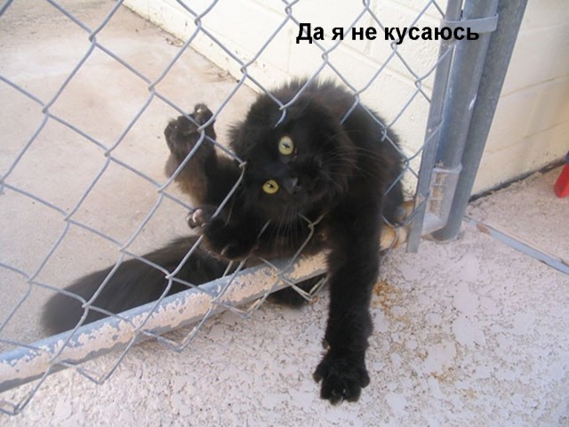 Картинки на вчера