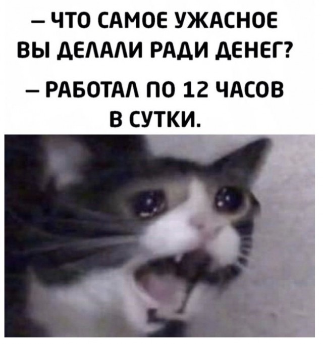 Так себе картинки 09.08.2021