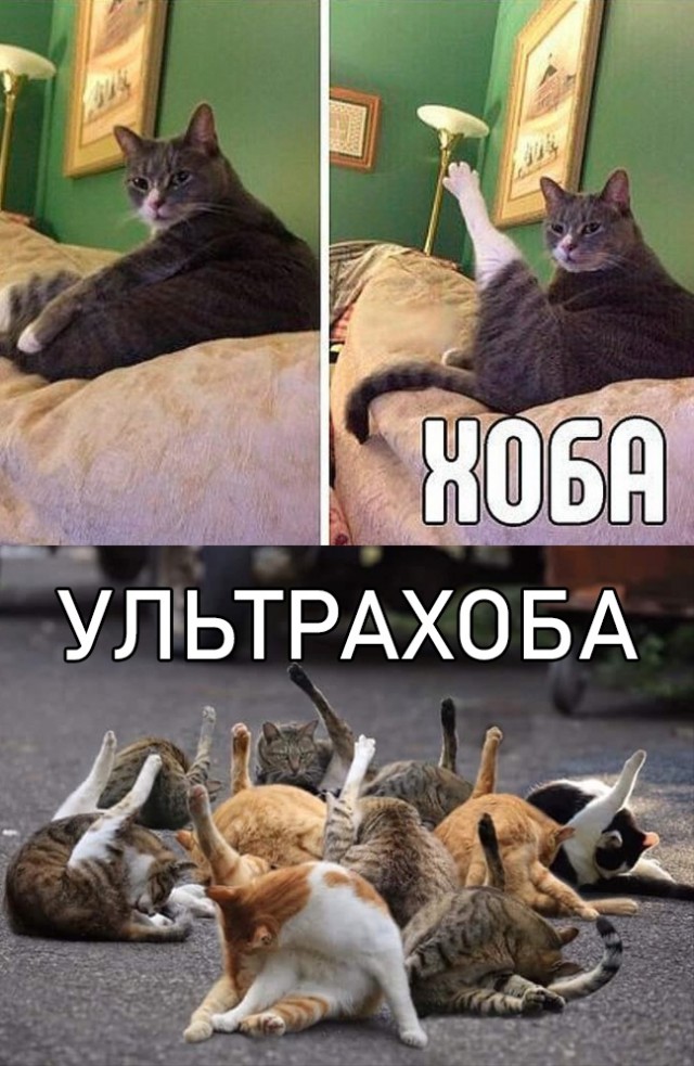 Рено представило, что будет это