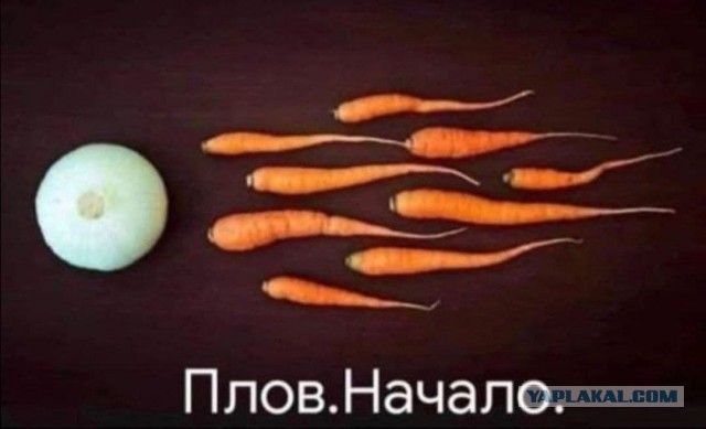 Немного юмора...Часть 1