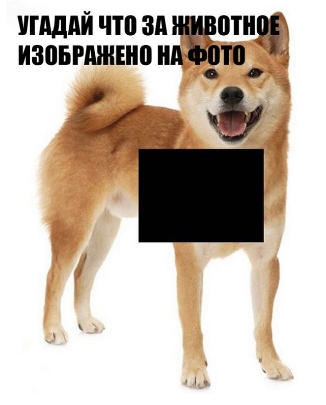 Картинки и мемы всем прекрасных выходных