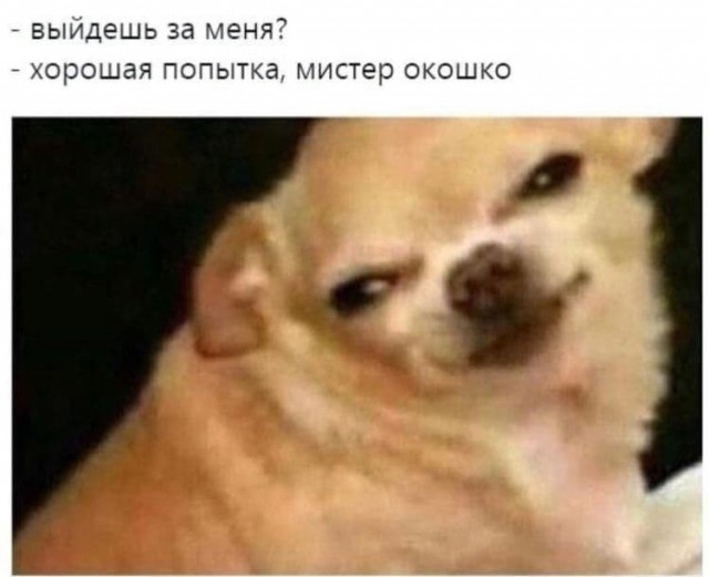 Картинки на*уй не нужны, картинки на*уй не важны