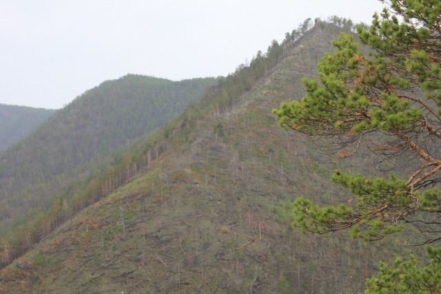 Байкал, 2011
