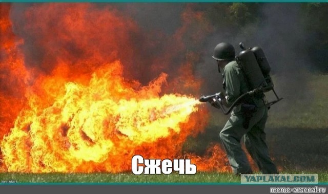 Клопы в доме. Нужны одекватные советы