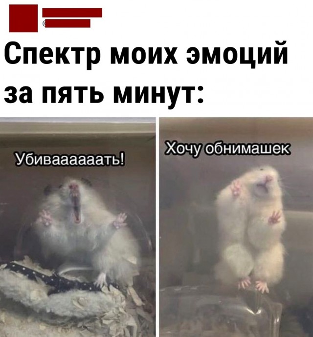 Так себе картинки 19.04.22