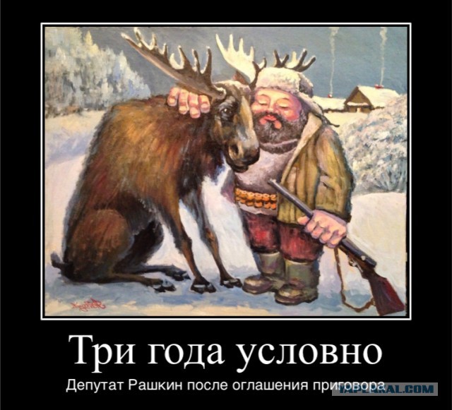 Суд в Саратовской области дал депутату Госдумы Рашкину 3 года условно по делу о незаконной охоте на лося