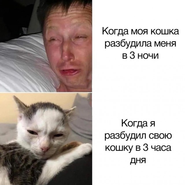 40 картинок разных 26.05.2022