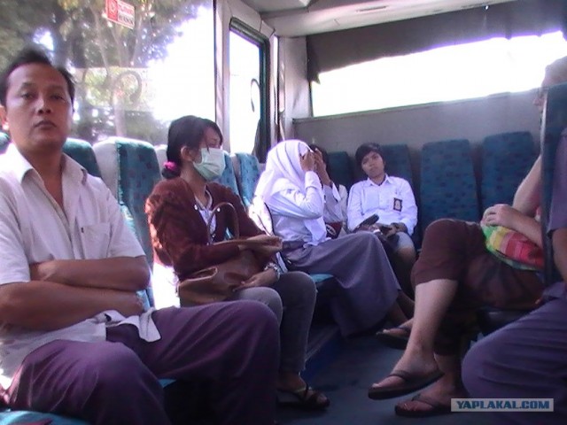 Они живут только 40 лет