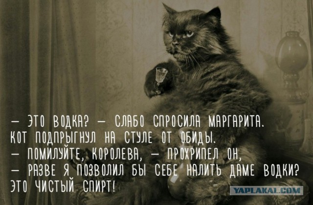Последствия, с которыми может столкнуться мужчина, решивший создать семью с разведенной