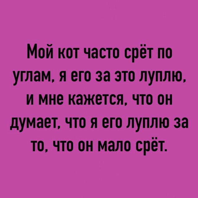 Так себе картинки 30.11.22