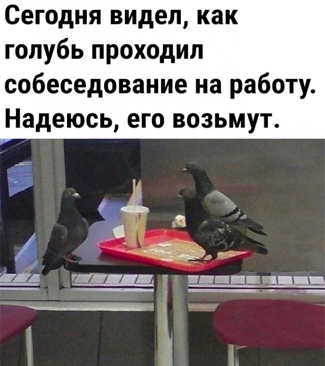 Так себе картинки 18.05.23