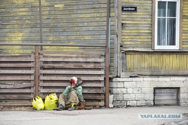 Все, что вы хотели знать об Эстонии...