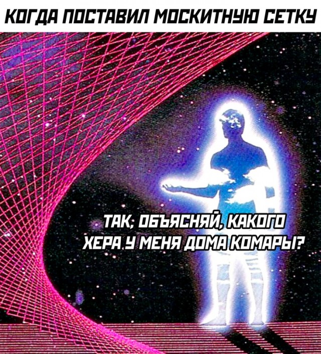 Весёлый полтишок 11.08.23