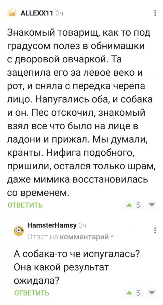 Нуштош 29.09.2023