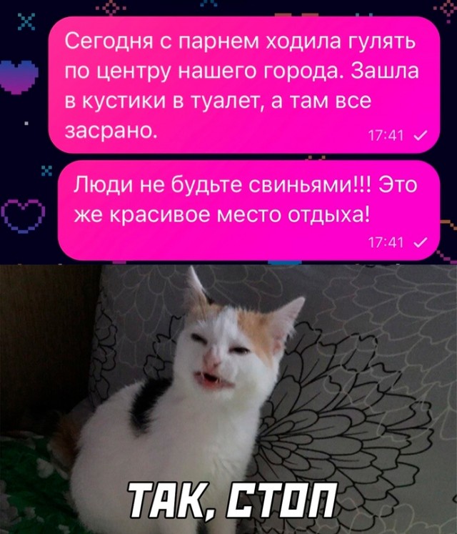 Весёлый полтишок 08.04.24