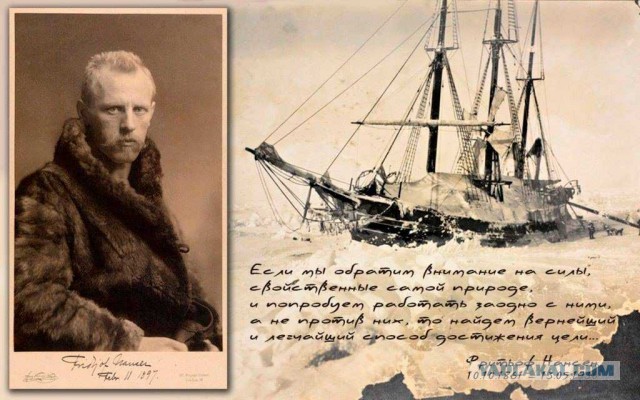 392-летняя акула в Северном Ледовитом океане