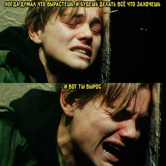 Весёлый полтишок 20.05.24