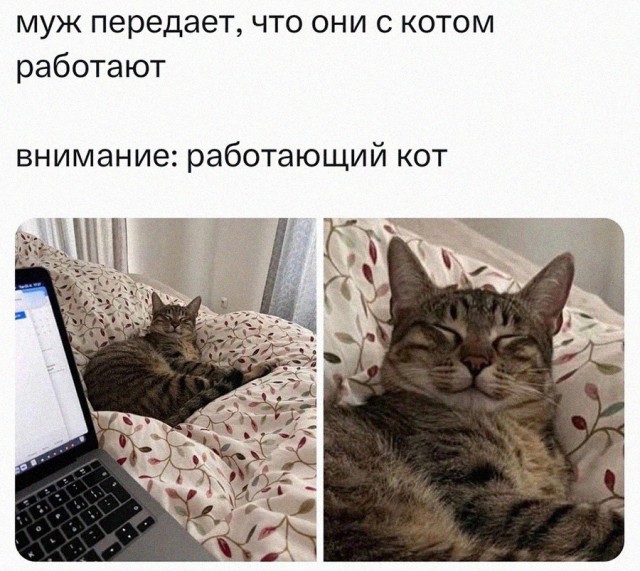 Весёлый полтишок 19.09.24
