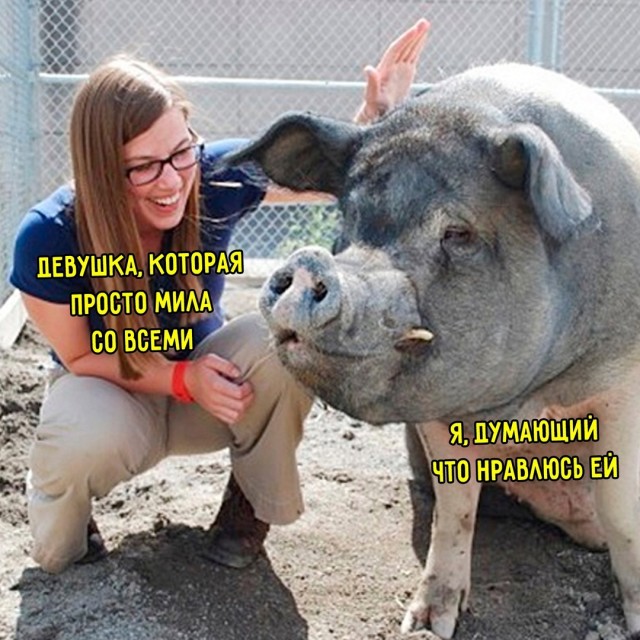 Весёлый полтишок 19.12.24