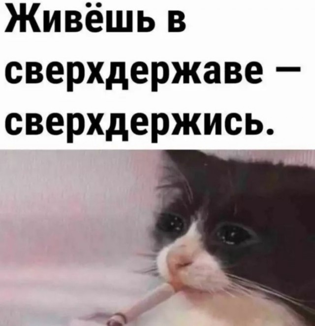 Веселые картинки в понедельник (10.02)