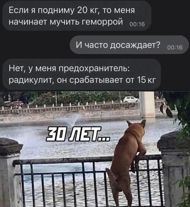 Завалялось тут случайно немного забавных картинок