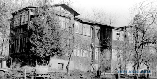 Продолжаю отладку домашних процессов с фотоплёнкой. Зацените ЧБ фотки