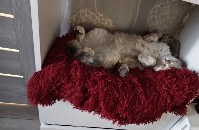 После веселой ночи