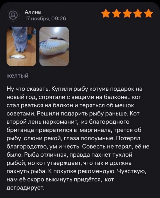 Начинайте свой день с чего-то положительного