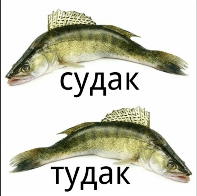 Суровый тест на ментальность. Тонут мать, жена и дочь - кого спасать первым?