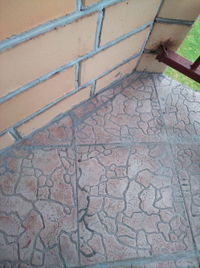 Жопорукий рукожоп