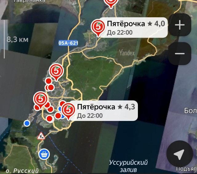 Крупнейшая в мире сеть магазинов шаговой доступности 7-Eleven может открыться в России в 2026 году