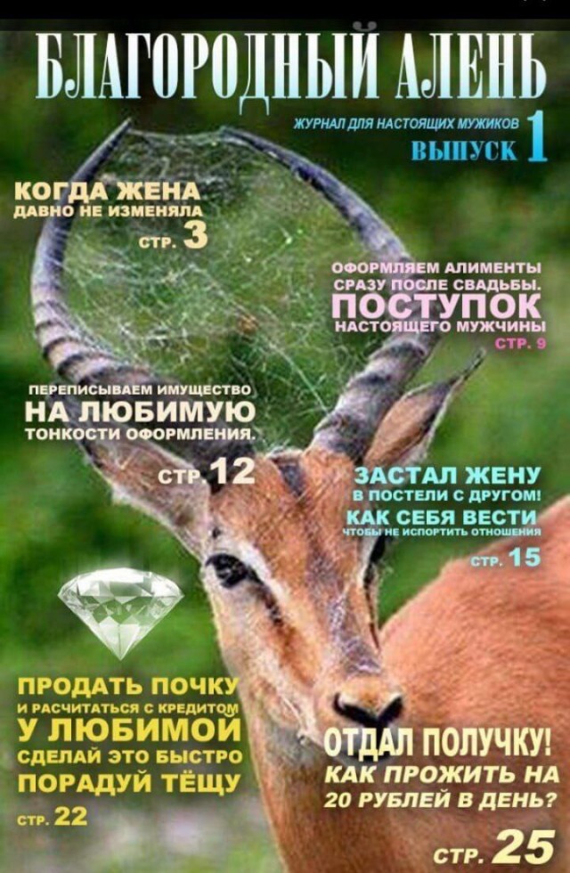 По телевизору показали вдохновляющую историю о настоящей любви и ответственности