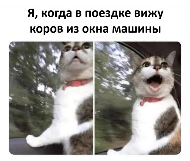 Картинки для деградации 111 (разной степени свежести)