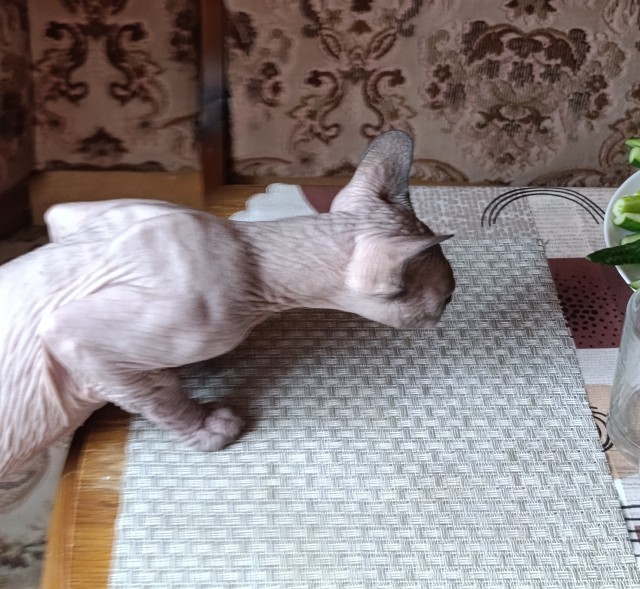 30 дней зимы