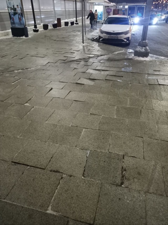Москва, Сокольники, 2 марта. И так по всей Москве.