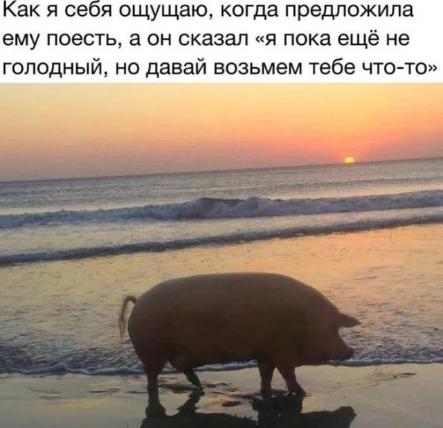 Воскресные картинки