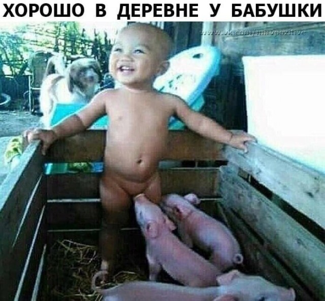 Картиночки, баянчики 15 июня