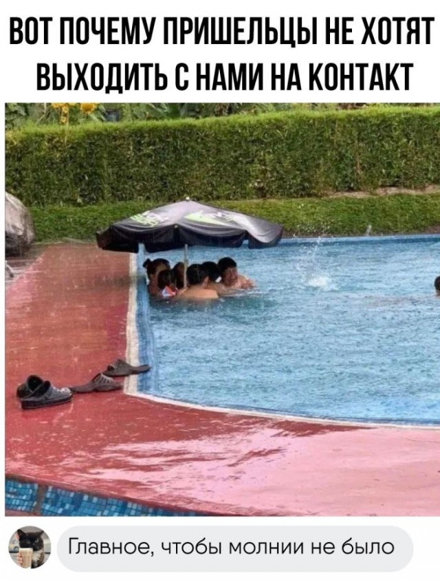 Картиночки, баянчики 18 июня