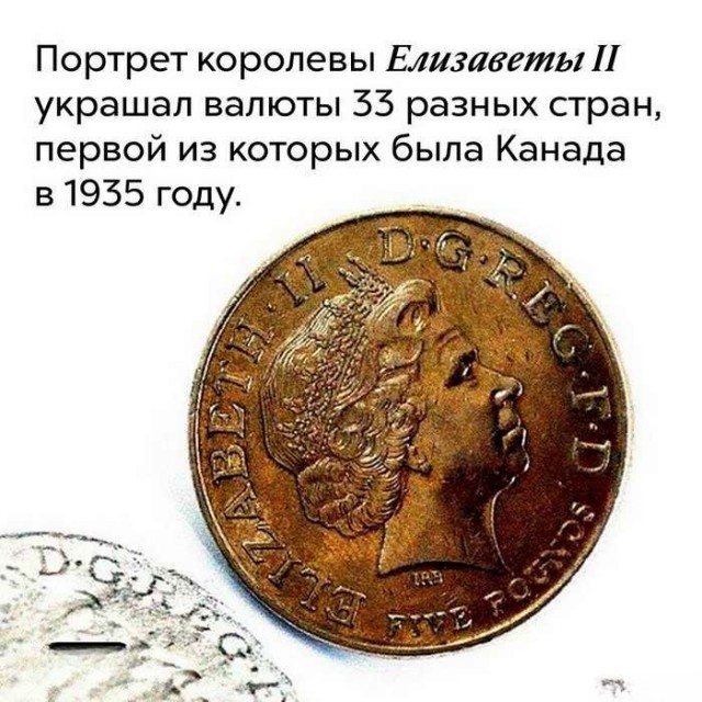Интересные и короткие факты, на все случаи жизни